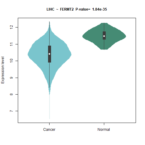 FERMT2 _LIHC.png